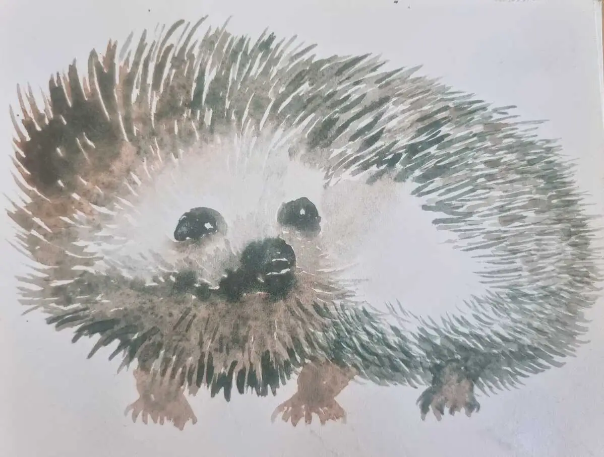 Hérisson – illustration extraite d’un livre pour enfants par Danièle Archambault – Artdany.fr