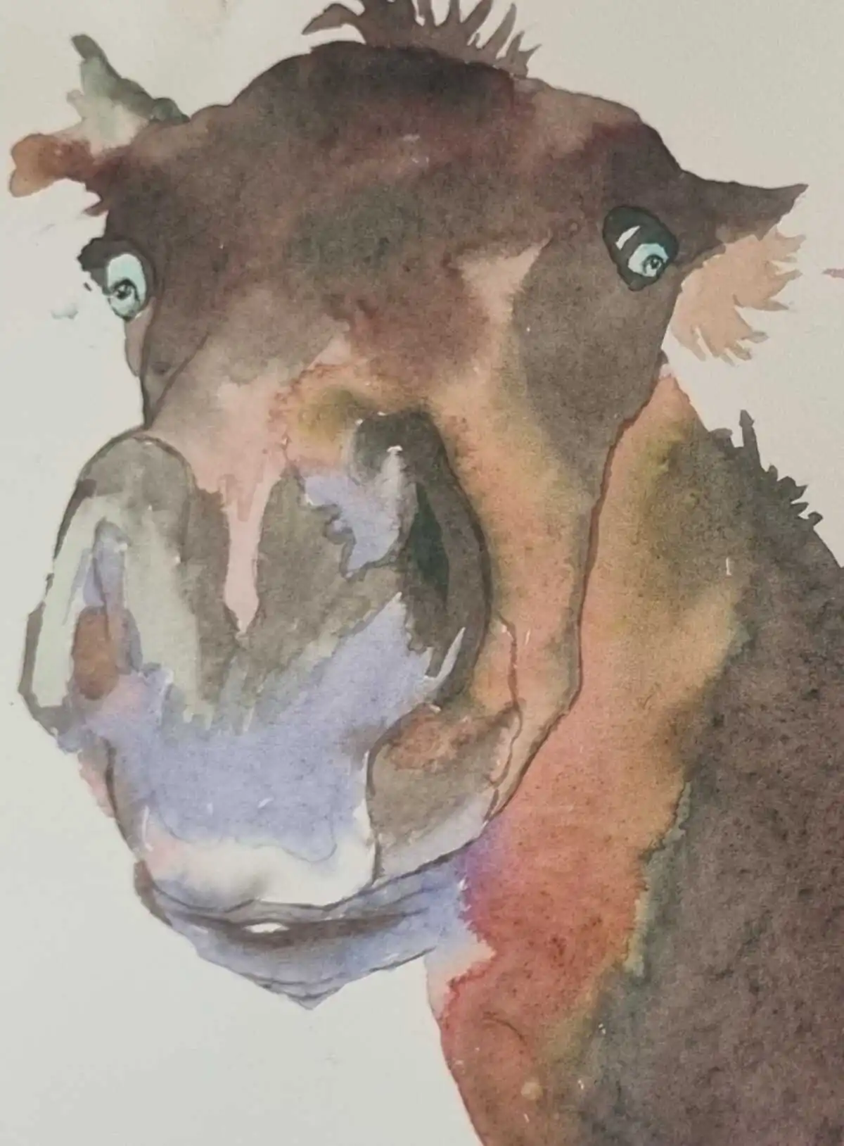 Tête de cheval – illustration extraite d’un livre pour enfants par Danièle Archambault – Artdany.fr