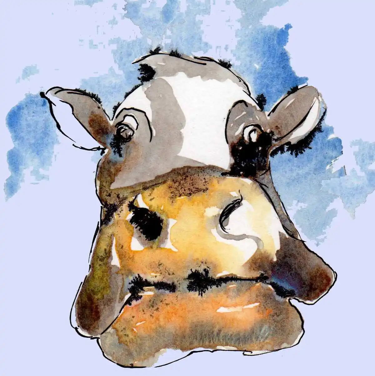 Tête de vache – illustration extraite d’un livre pour enfants par Danièle Archambault – Artdany.fr
