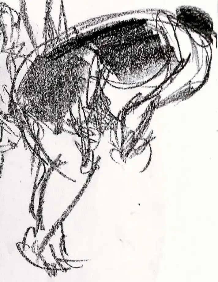 Fusain et crayon sur papier – gribouillis expressif et spontané – Danièle Archambault
