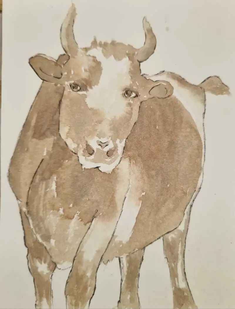 Illustration du livre jeunesse "La Vache", dessin à l’aquarelle par l’artiste Danièle Archambault.